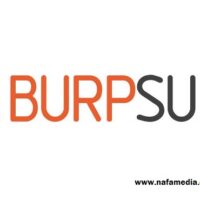 Download Burp suite Pro